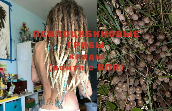 прущая мука Аркадак